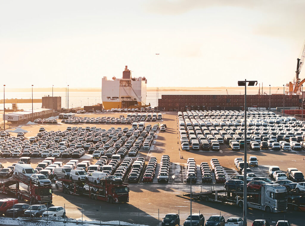 SAL Terminal - Grimaldi Grande Europa